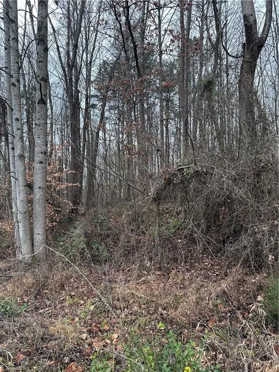 1122 S State Street, Yadkinville, NC 27055 - Image #3