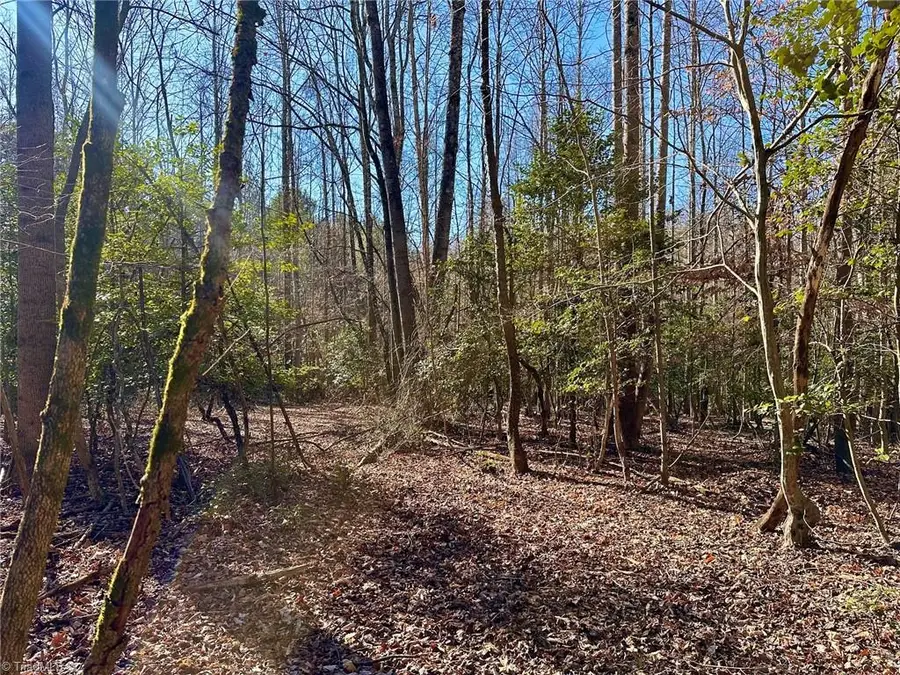 220 Rainbow Trout Drive, Hays, NC 28635 - Image #2