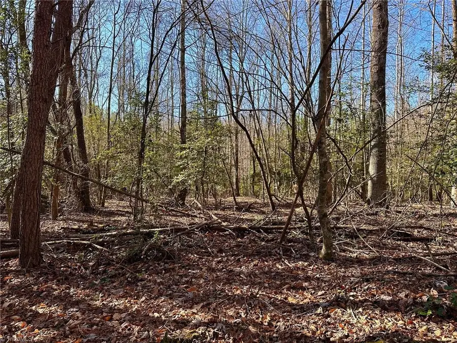 220 Rainbow Trout Drive, Hays, NC 28635 - Image #3