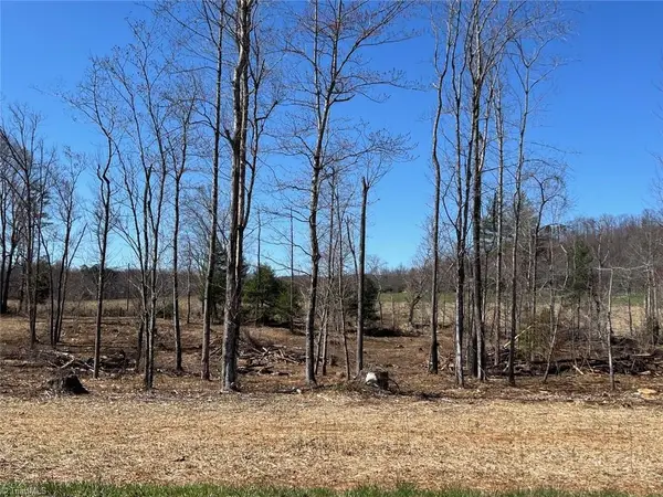 00 Absher Road, Traphill, NC 28685