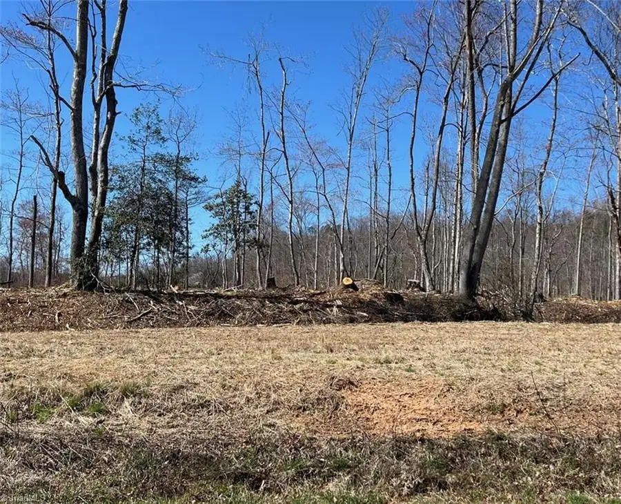 00 Absher Road, Traphill, NC 28685 - Image #2