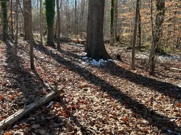 7209 Prentiss Road, Greensboro, NC 27409 - Image #1