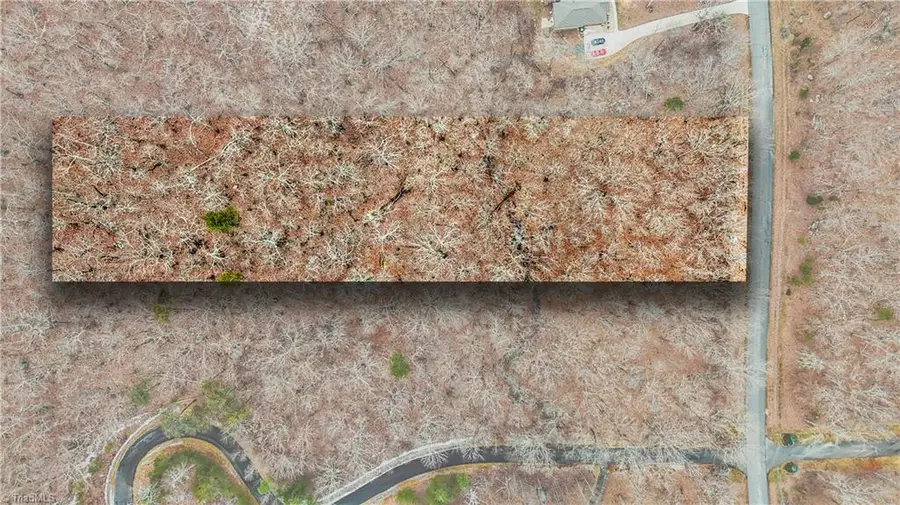 869 Healing Springs Drive, Healing Spring, NC 27370 - Image #3