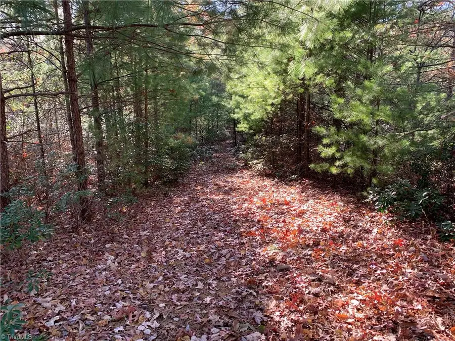 TBD (Lot 1) Dugger Firetower Road, Blue Ridge, NC 228645 - Image #3