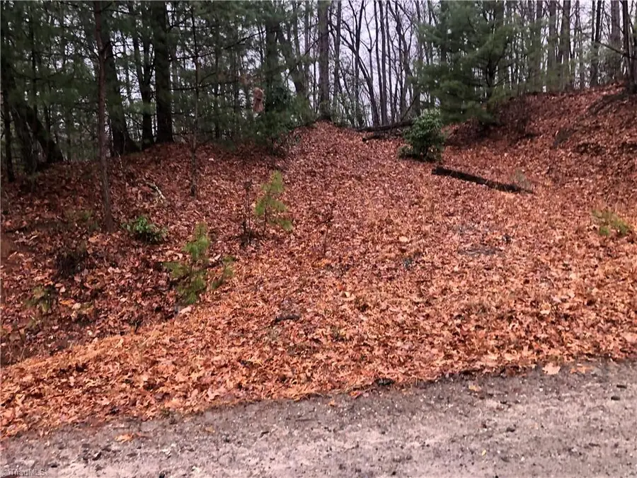 Lot 105 Pepper Bush Road, Purlear, NC 28665 - Image #2