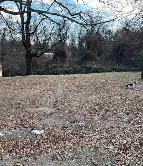 1307 Potts Avenue, High Point, NC 27260