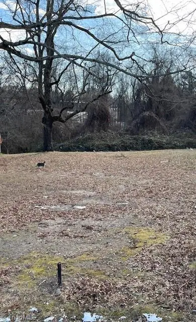 1307 Potts Avenue, High Point, NC 27260 - Image #2