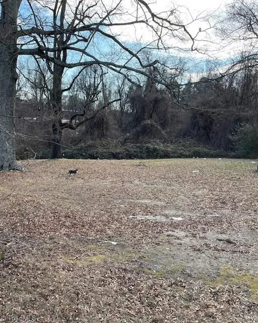 1307 Potts Avenue, High Point, NC 27260 - Image #3