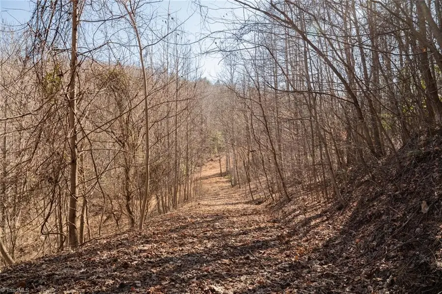 Lot 6 Green Point Lane, Boomer, NC 28606 - Image #3