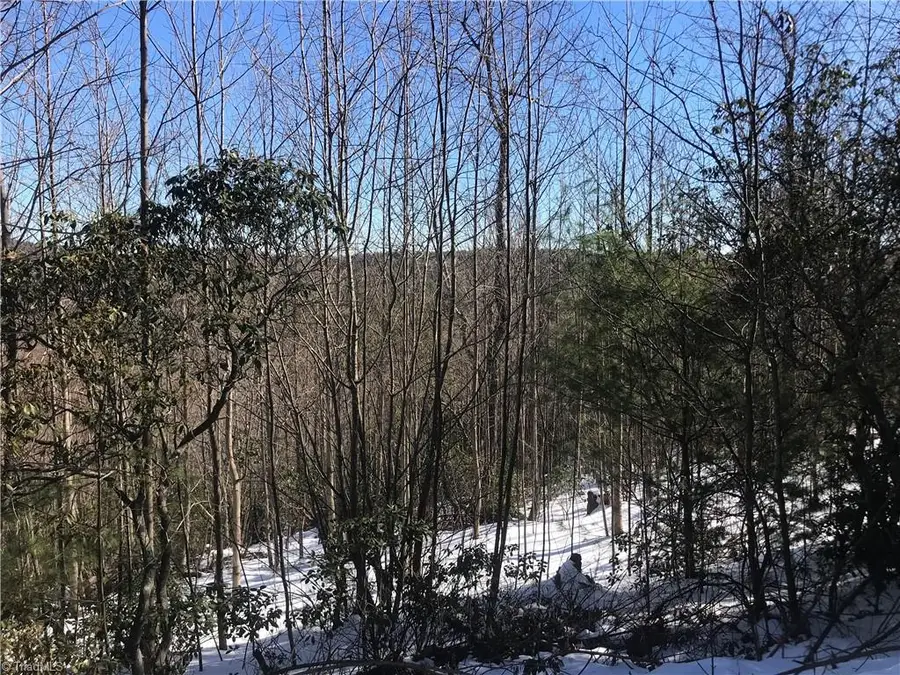 TBD Fletchers Cove Road, Purlear, NC 28665 - Image #3