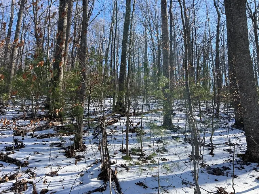 TBD (Lot 8) Woodland Ridge, Lansing, NC 28643 - Image #2