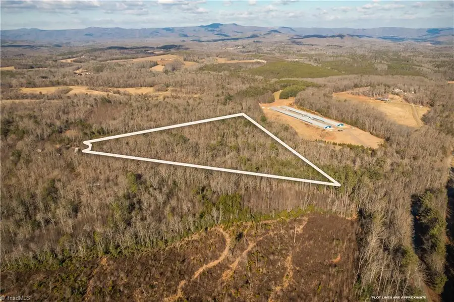 17.96 Acres Aubrey Thomas Lane, Dobson, NC 27017 - Image #2