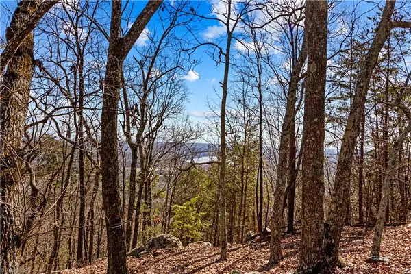 1026 Sierra Trace Road, Denton, NC 27239