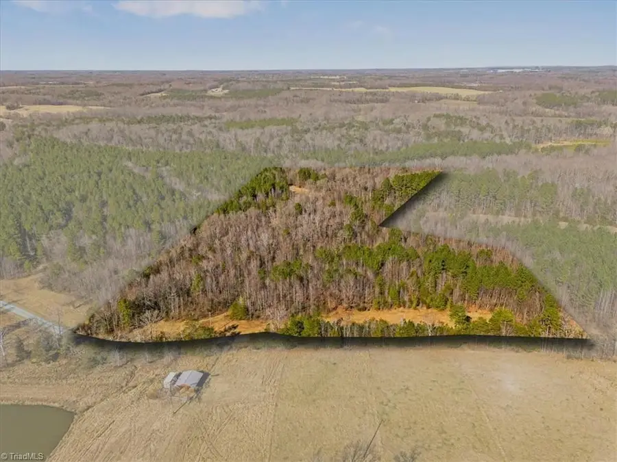 0 Burgess Cattle Drive, Siler City, NC 27344 - Image #2