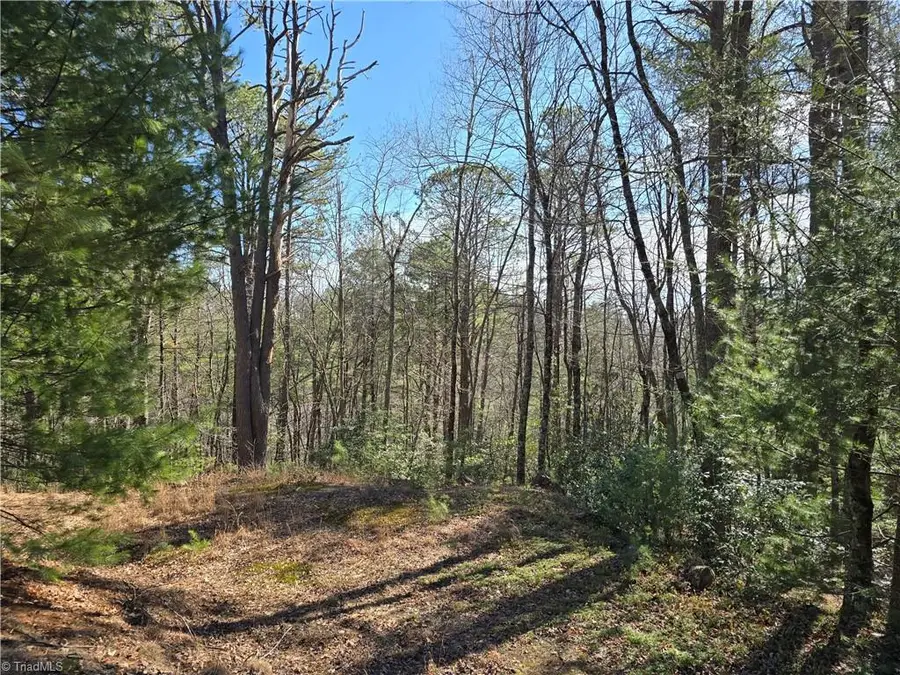 TBD Timber Ridge Road, Millers Creek, NC 28651 - Image #2