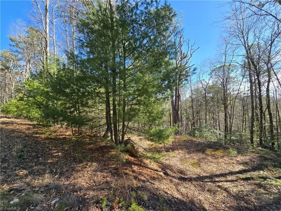 TBD Timber Ridge Road, Millers Creek, NC 28651 - Image #3