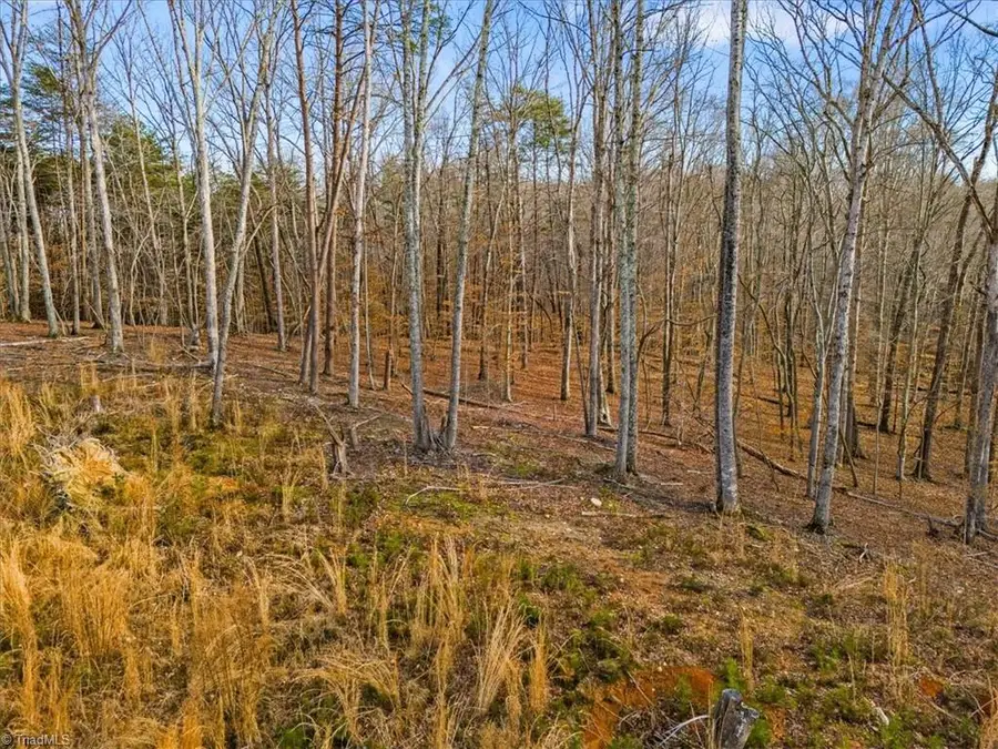 0 Odle Lane, Eden, NC 27288 - Image #2