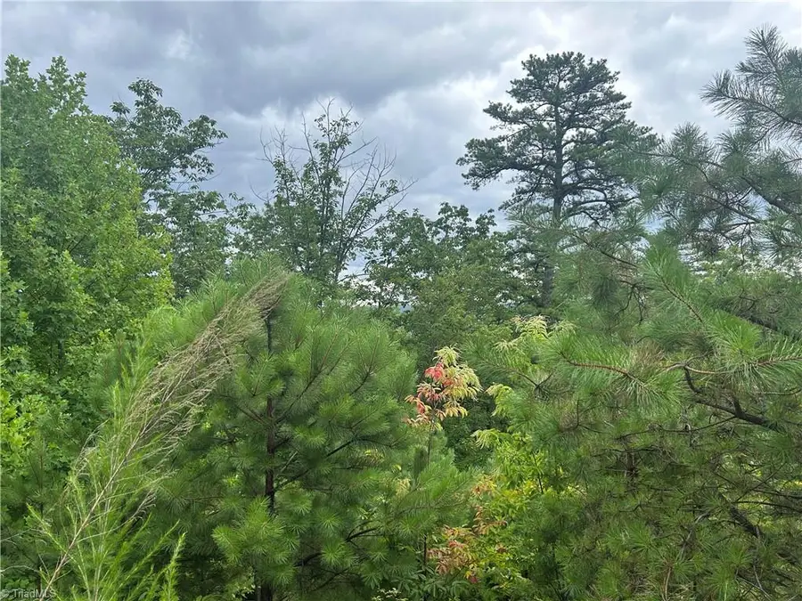 tbd Lobelia Lane, Boone, NC 28607 - Image #2