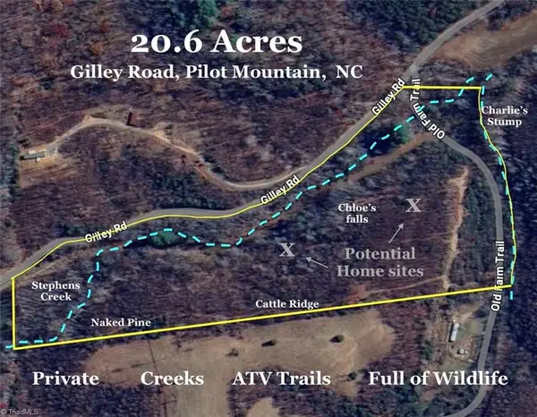 xx Gilley Road #20.63 acres, Pilot Mountain, NC 27041