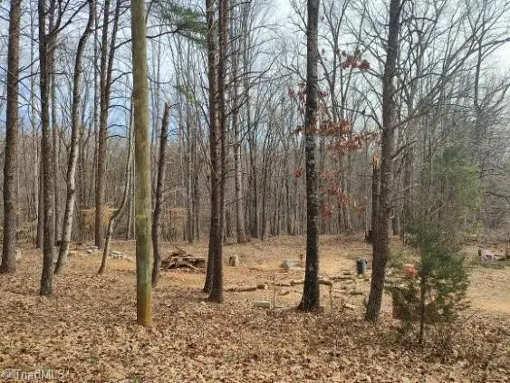 1075 Augusta Hicks Road, Walnut Cove, NC 27052 - Image #2