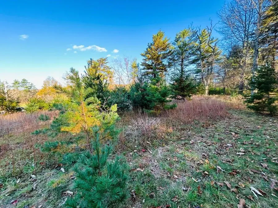 TBD Overlook Lane, Galax, VA 24333 - Image #3