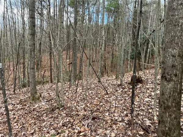 Lot 10 Fisher Valley Road, Dobson, NC 27017