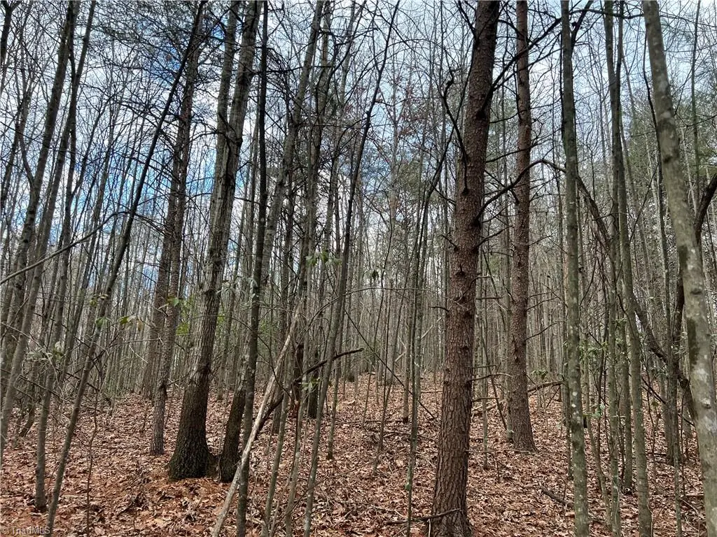 Lot 15 Fisher Valley Road, Dobson, NC 27017 - Image #1
