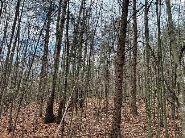 Lot 15 Fisher Valley Road, Dobson, NC 27017