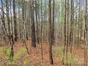 225 Cove Wood Drive, Denton, NC 27239 - Image #2