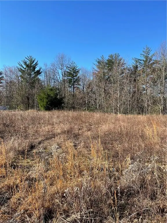 0 Lump Road, Purlear, NC 28665 - Image #1