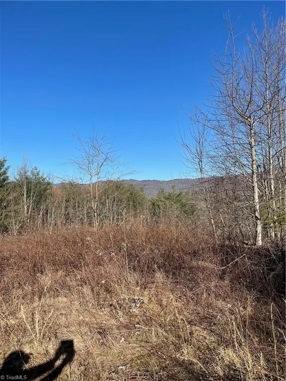 0 Lump Road, Purlear, NC 28665 - Image #3