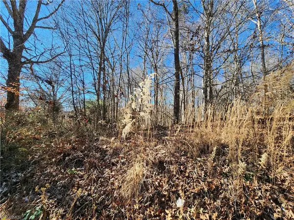 501 Factory Street, Ronda, NC 28670