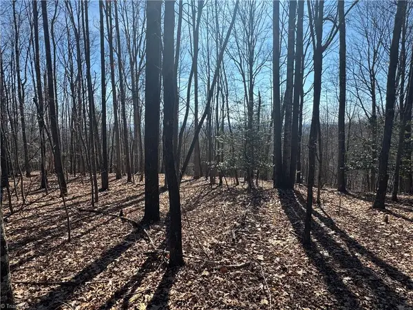 Lot 19 Overland Trail, Hays, NC 28635