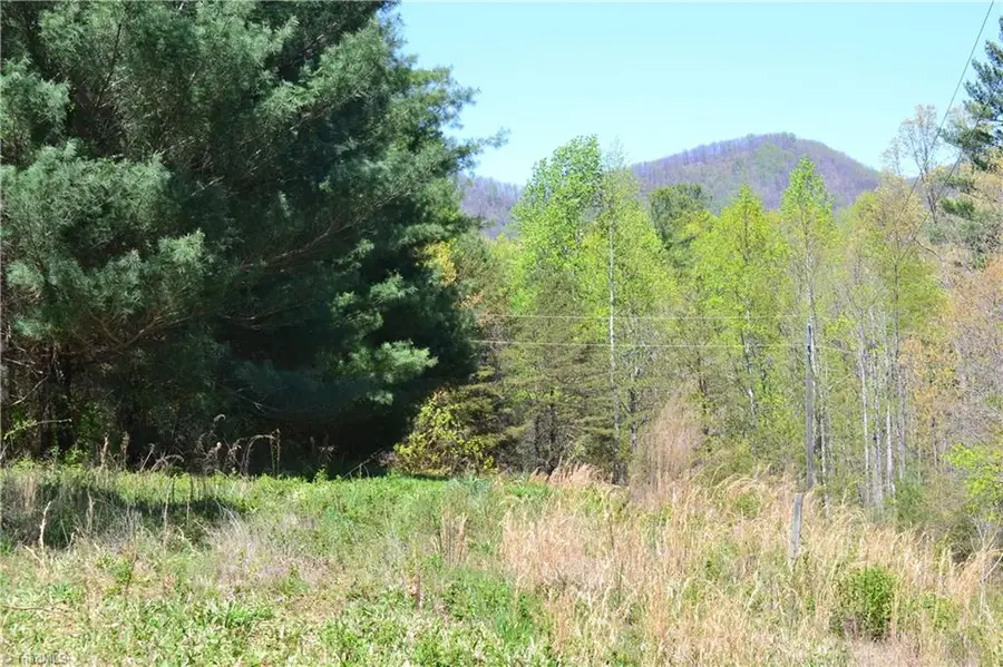 00 Swaringen Road, Traphill, NC 28685 - Image #2