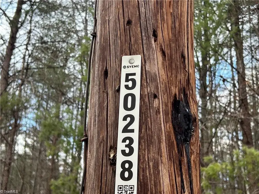 Lot 11 Fisher Valley Road, Dobson, NC 27017 - Image #3