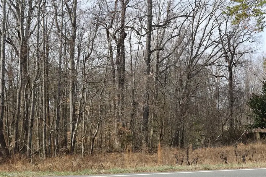 0 Jones Chapel Road, Reidsville, NC 27320 - Image #2