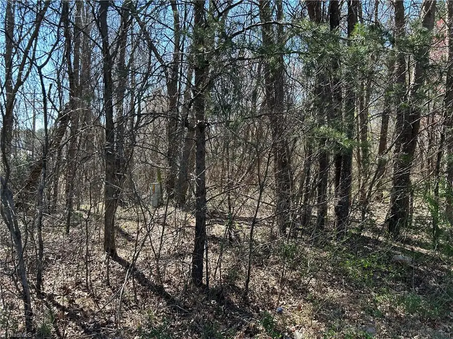 0 Nc Highway 67, East Bend, NC 27018 - Image #3