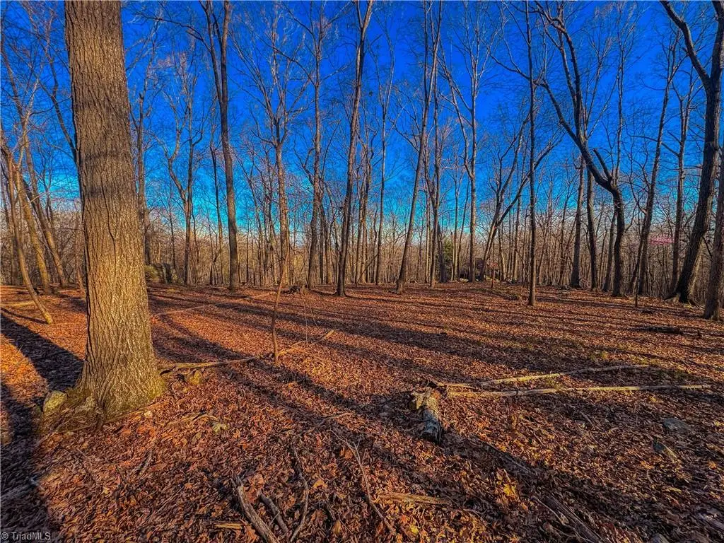 279 Palisade Trail, Denton, NC 27239 - Image #1