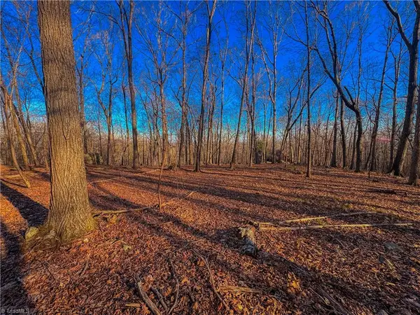 279 Palisade Trail, Denton, NC 27239