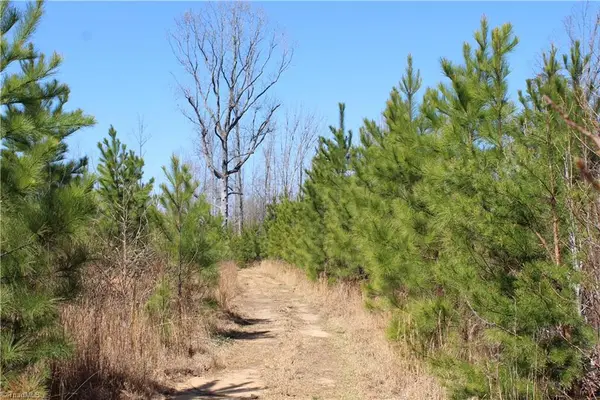 0 Jones Road, Reidsville, NC 27320