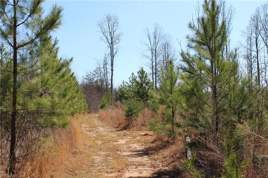 0 Jones Road, Reidsville, NC 27320 - Image #2