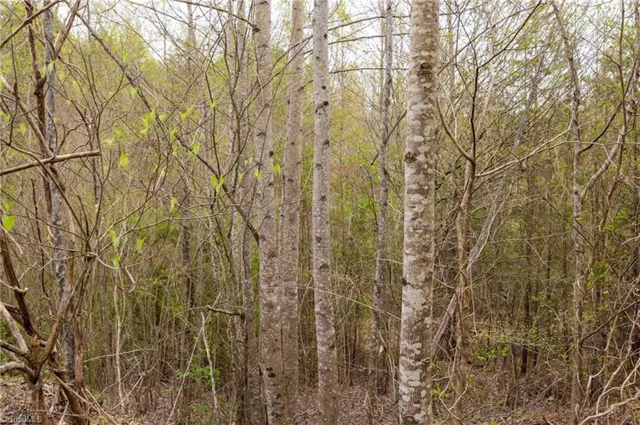 000 Old Vashti Road #2, Taylorsville, NC 28681 - #3