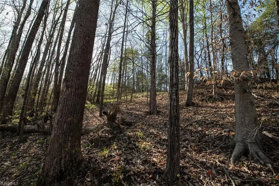 Lot 38 Lake Shore Drive, Yanceyville, NC 27379 - Image #3