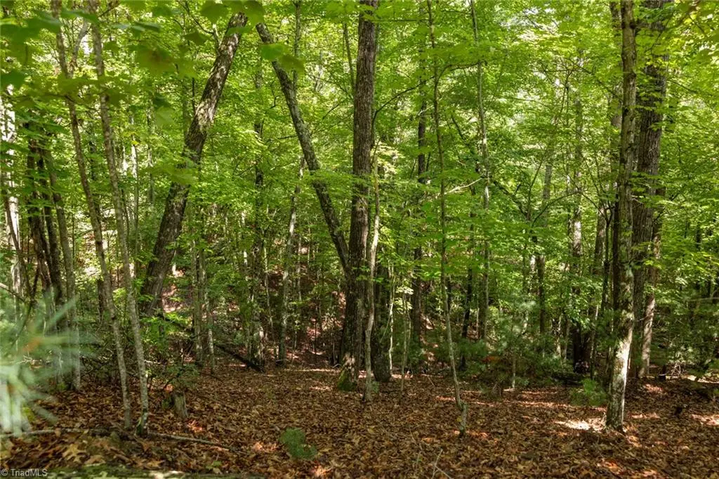 Lot 158 Carriage House Trail, McGrady, NC 28649 - Image #1