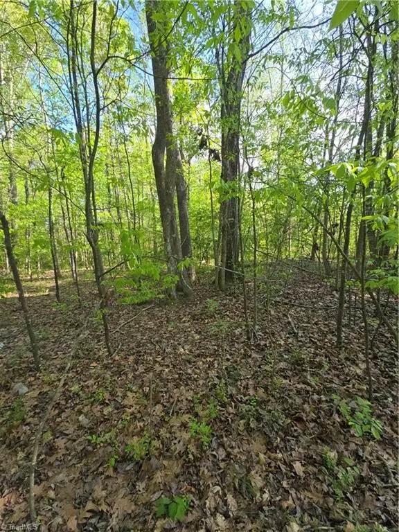 219 Dot Street, Denton, NC 27239 - Image #3