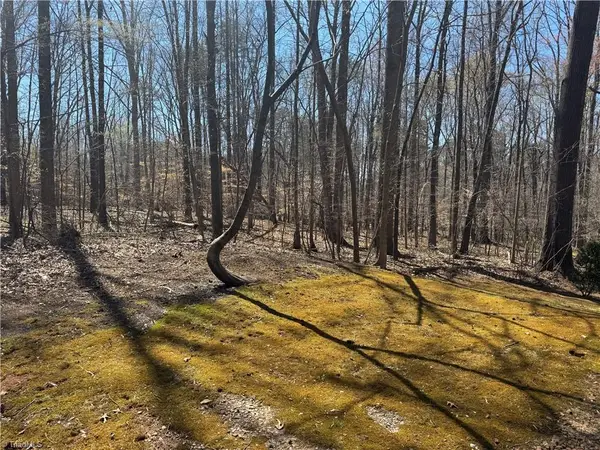 16.89 ac Auburn Street, Reidsville, NC 27320