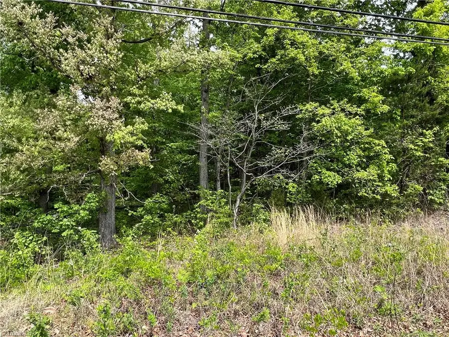 3.8 AC Nc Highway 87, Eden, NC 27288 - Image #3