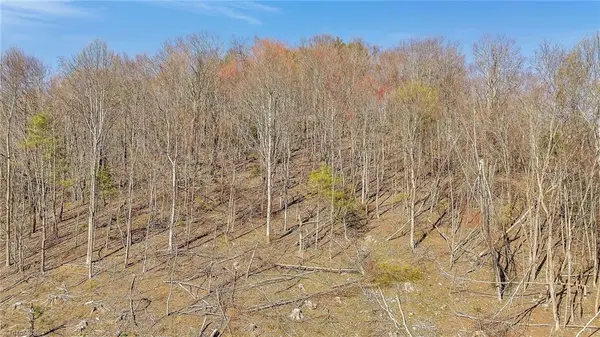 TBD Highlands Parkway, Mouth of Wilson, VA 24363