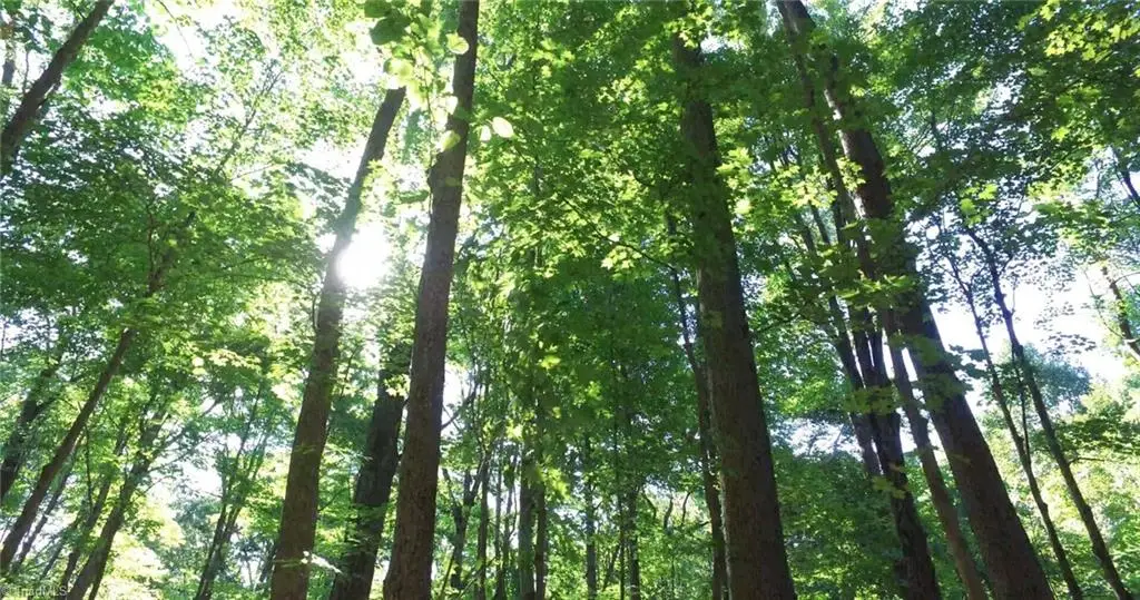 00 Lasater Road, Clemmons, NC 27012 - Image #1