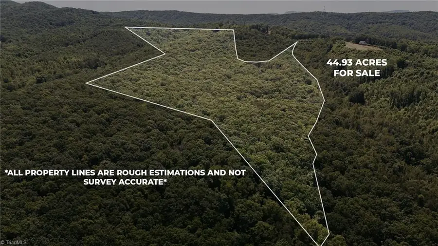 xx 44.93 Acres Stardust Trail, Mount Airy, NC 27030 - Image #2